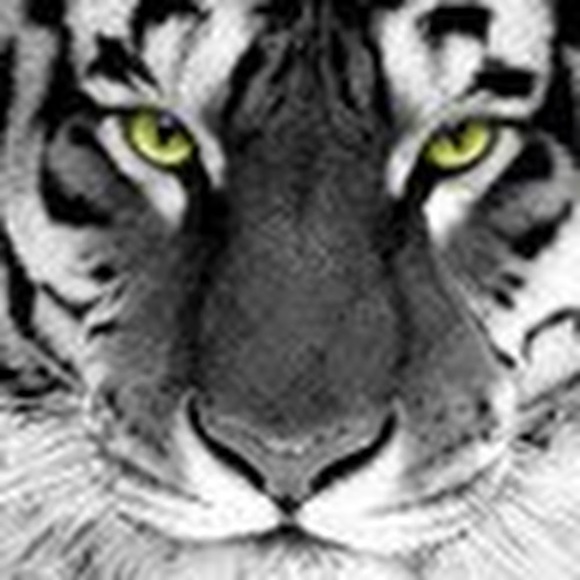 Meet your Posher, Charles - Picture 1 of 1